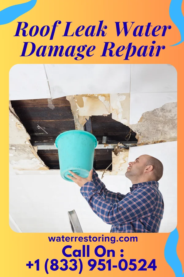 Roof Leak Water Damage Repair in Dillon, MT